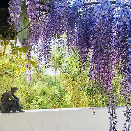 Bed and Breakfast Les Didascalies