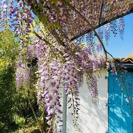 Les Didascalies 4* Vic-Fezensac