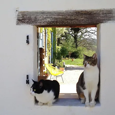 Les Didascalies Bed and breakfast *
