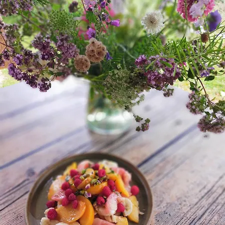 Les Didascalies Bed and Breakfast Vic-Fezensac