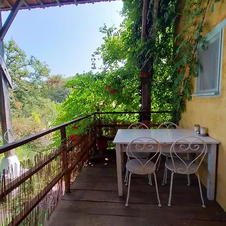 Bed and breakfast Les Didascalies Vic-Fezensac